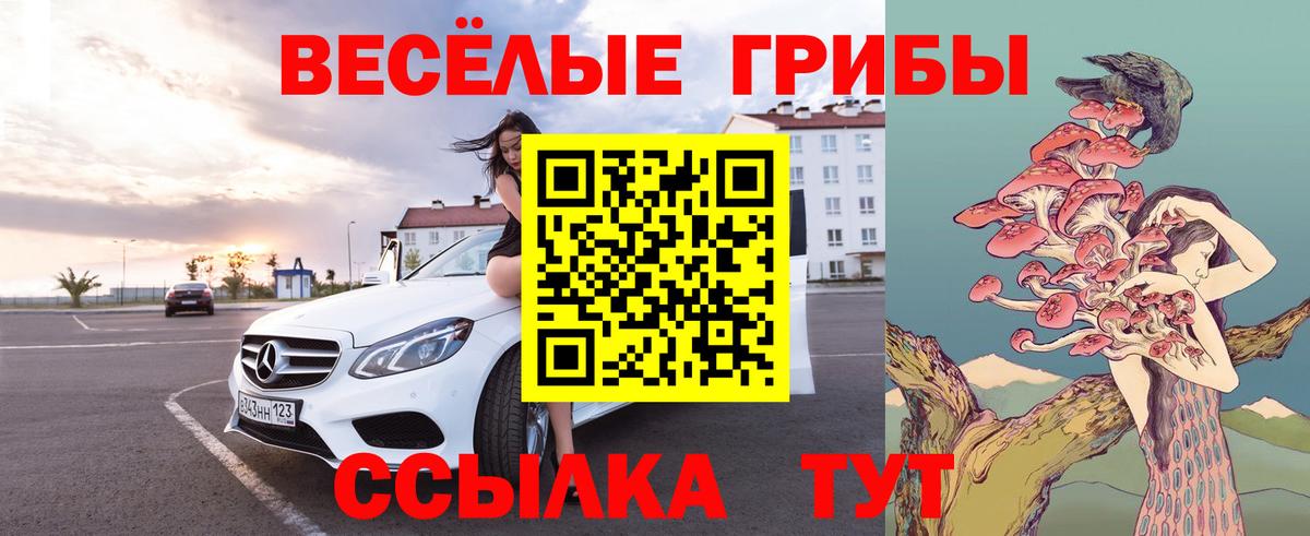 Галлюциногенные грибы ЛСД  Вход с VPN  Галлюциногенные грибы мухоморы  Курчатов 
